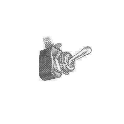 Single pole toggle switch,12 VDC,10A